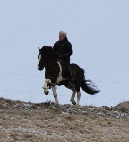 lffinnur_2_mars11_008 lffinnur_2_mars11_008